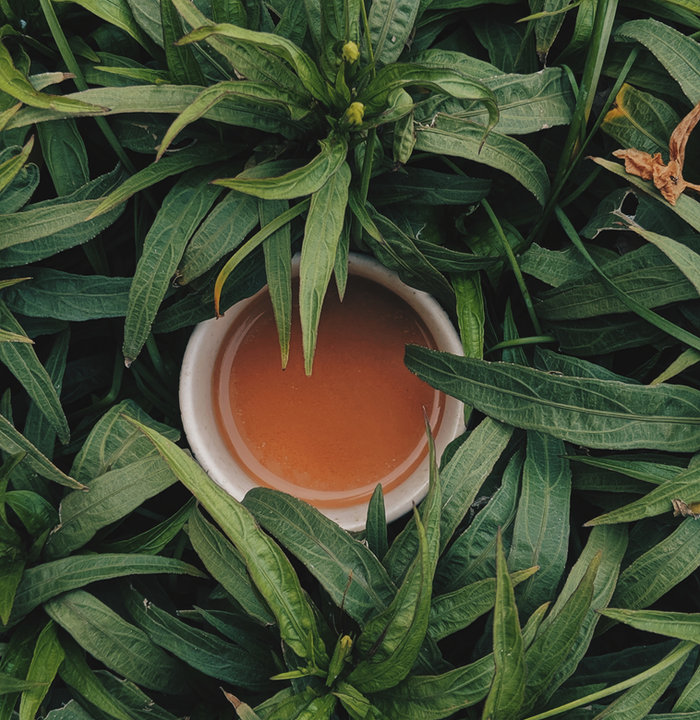 Small bowl of tea nestled among green leaves