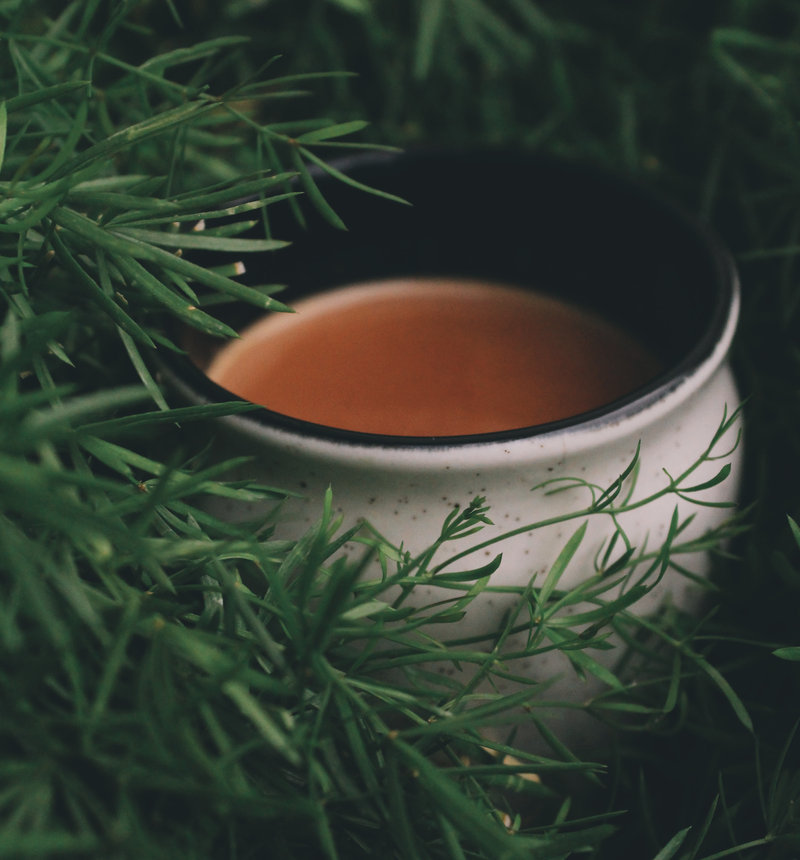 Cup of rooibos tea among green fynbos